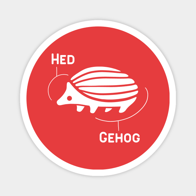 Hedgehog anatomy. Fynny minimal desing of a cactus mouse Magnet by croquis design